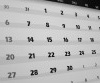 Aktivitetskalender